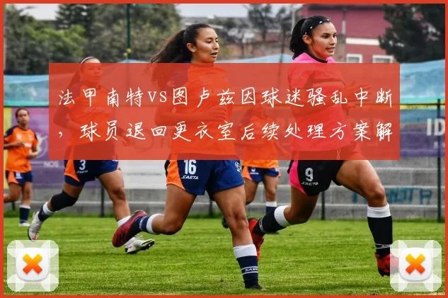 法甲南特vs图卢兹因球迷骚乱中断,球员退回更衣室后续处理方案解析